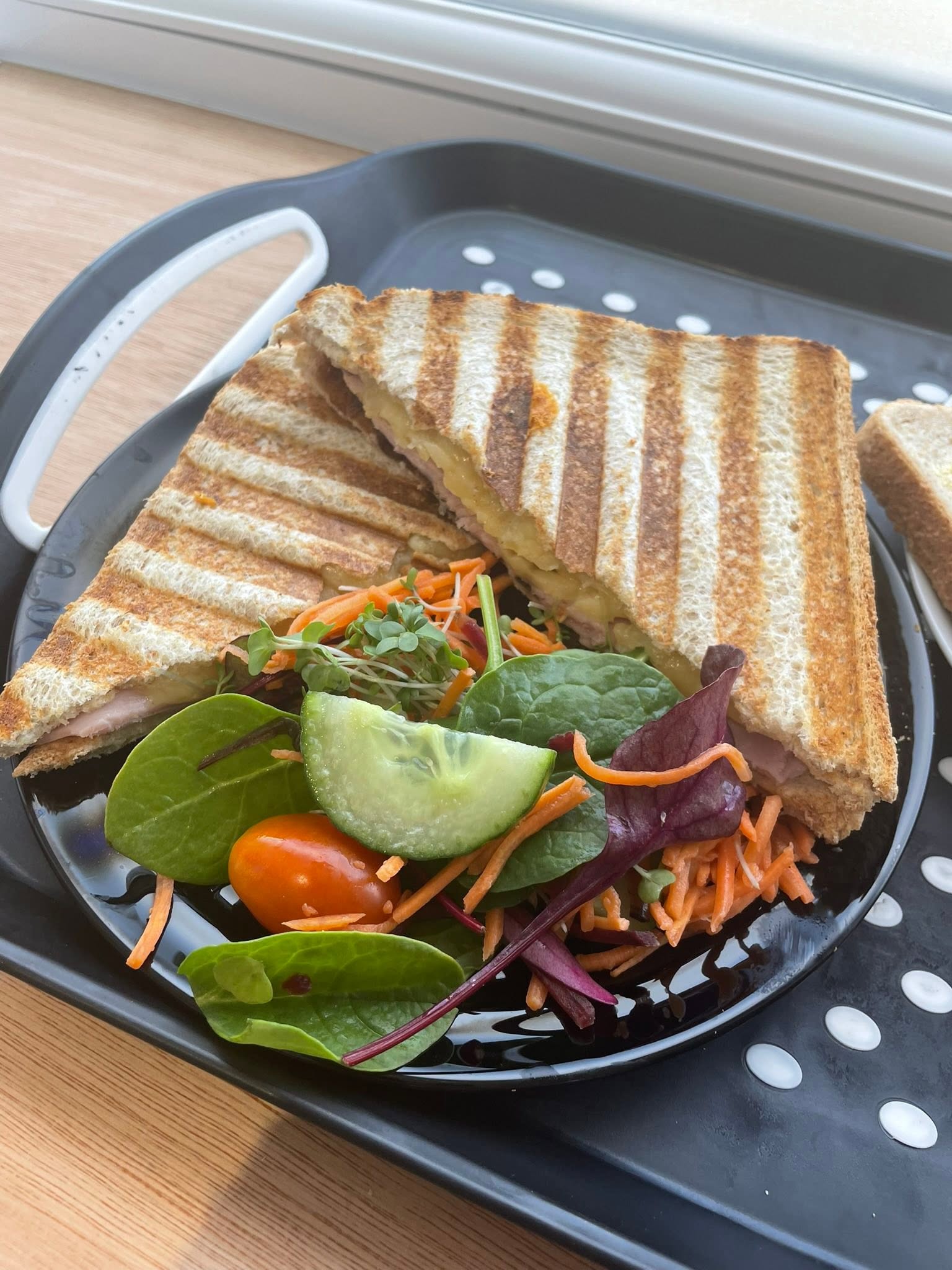Toasted panini with side salad